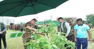 সেনাবাহিনীর বৃক্ষরোপণ অভিযান উদ্বোধন করেছেন সেনাপ্রধান